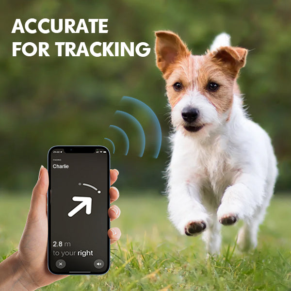 2-in-1 GPS Tracker for Dogs: Smart Collar with Real-Time Location, No Monthly Fee, Unlimited Range (iOS Only) GPS Tracker Dog Collar- Ideal for Small, Medium Large Dogs(Tracker Included) (Brown)