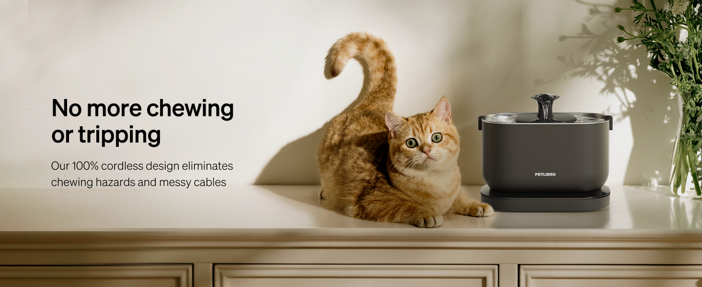 PETLIBRO Automatic Cat Feeder, 5G WiFi Automatic Dog Food Dispenser with Freshness Preservation, 5L Timed Pet Feeder with Low Food Sensor, Up to 10 Meals Per Day, Granary Black